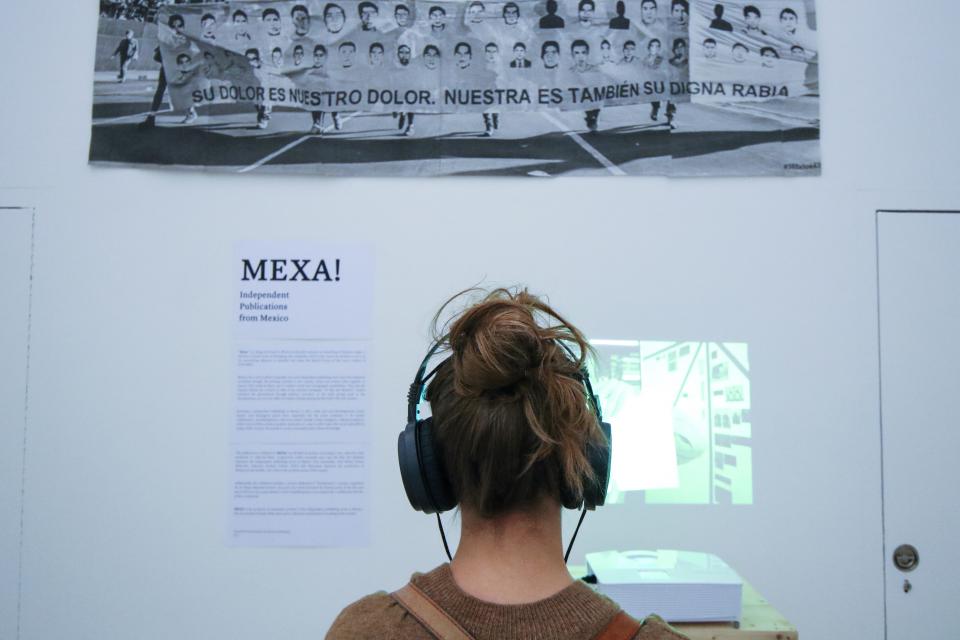 Visitor looking at exhibition