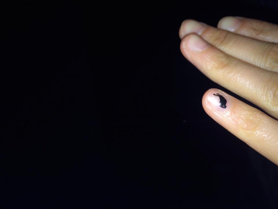 Hand